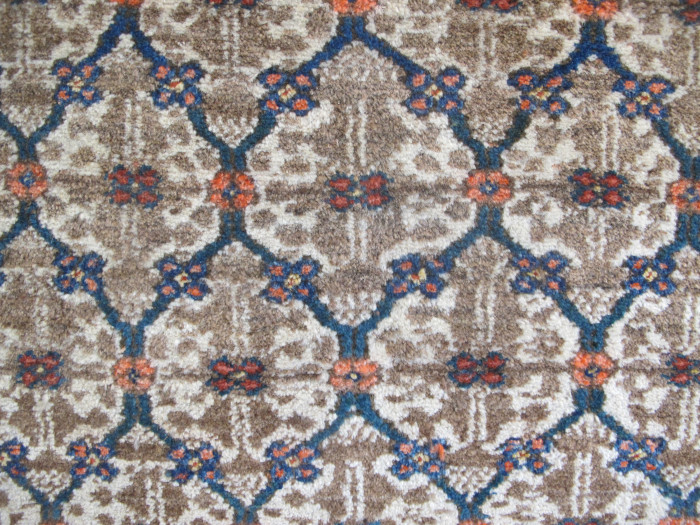 Kolyai Rug