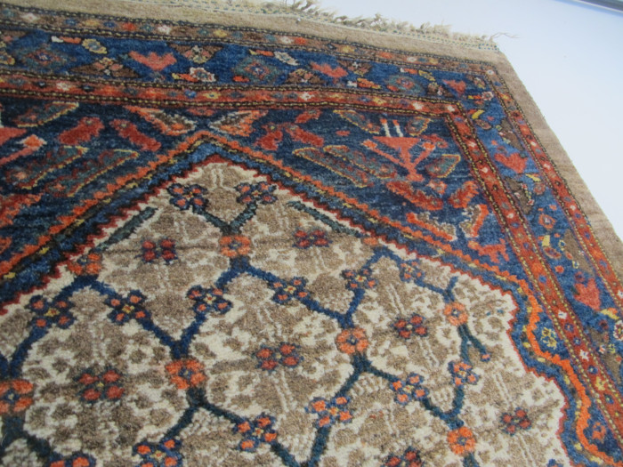 Kolyai Rug