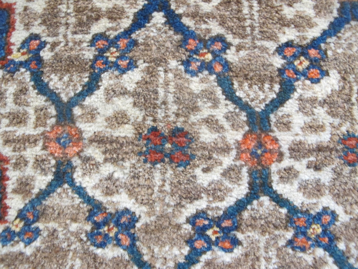 Kolyai Rug