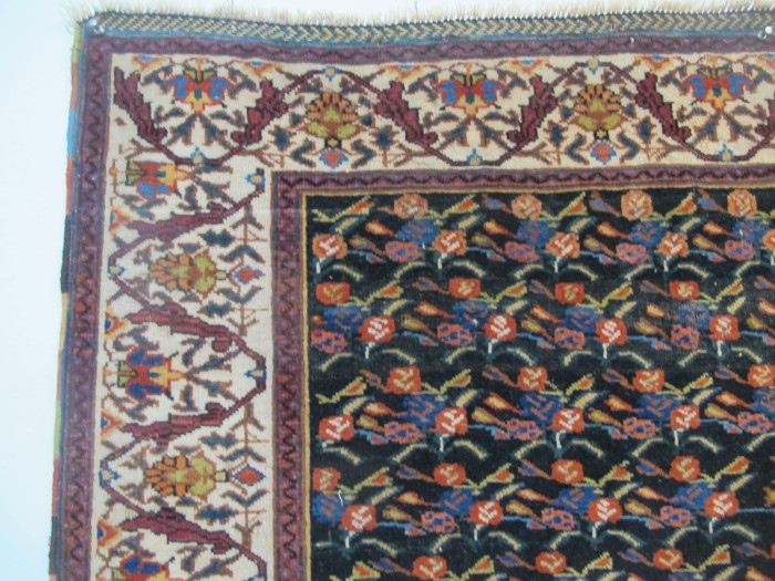 Fine Afshar Rug